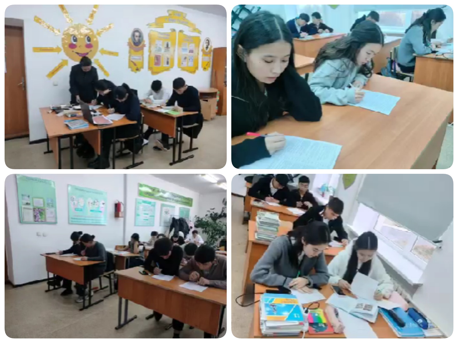 «Дифференциалды-диагностикалық сауалнама»